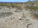 PICTURES/Harquahala Mountain/t_Harquahala Cemetary.JPG